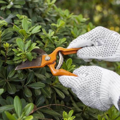 Landscaping Maintenance